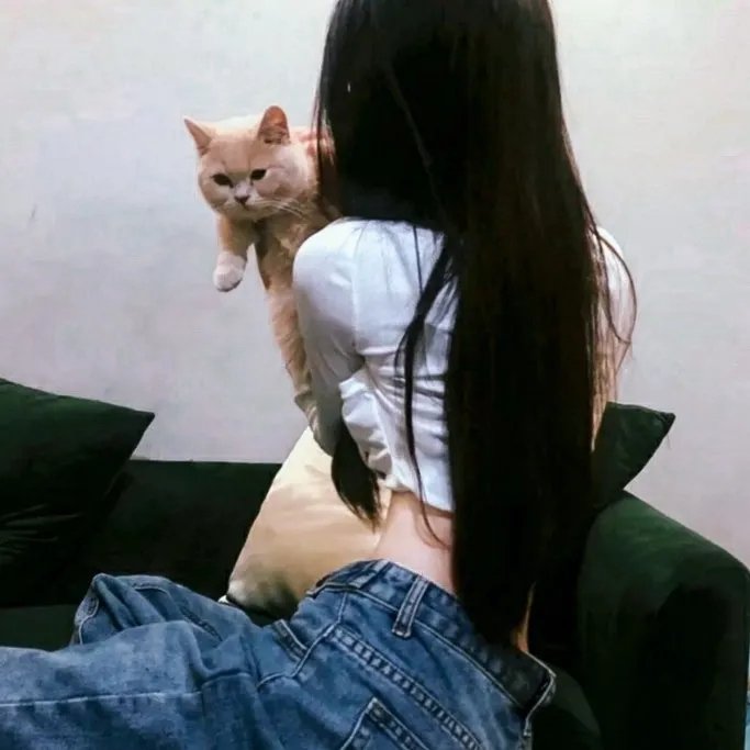 欢舞狂歌